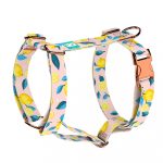 Summer Fresh - Dog Harness or Cat Harness - april & june
