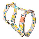 Summer Fresh - Dog Harness or Cat Harness - april & june