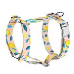 Summer Fresh - Dog Harness or Cat Harness - april & june