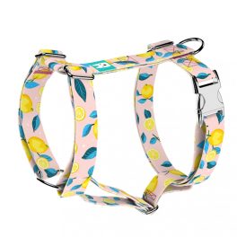 Summer Fresh - Dog Harness or Cat Harness - april & june