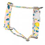Summer Fresh - Dog Harness or Cat Harness - april & june