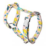 Summer Fresh - Dog Harness or Cat Harness - april & june