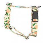 Barack mintás - Kutyahám és Macskahám - Peaches - april & june