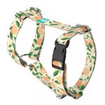 Barack mintás - Kutyahám és Macskahám - Peaches - april & june