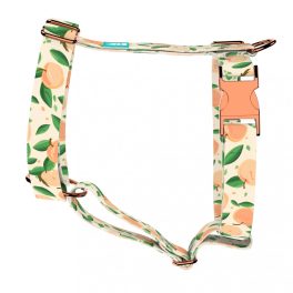 Peaches - Dog Harness or Cat Harness - april & june
