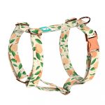 Barack mintás - Kutyahám és Macskahám - Peaches - april & june