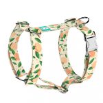 Barack mintás - Kutyahám és Macskahám - Peaches - april & june