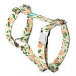 Barack mintás - Kutyahám és Macskahám - Peaches - april & june