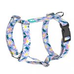 Margaréták - Kutyahám és Macskahám - Daisy - april & june