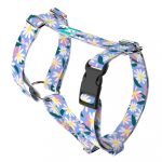 Margaréták - Kutyahám és Macskahám - Daisy - april & june