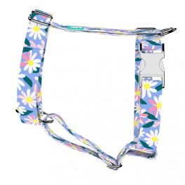Daisy - Dog Harness or Cat Harness - april & june
