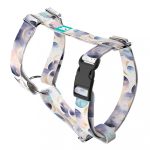 Pasztell galaxis - Kutyahám és Macskahám - Pastell Galaxy - april & june