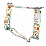 Pillangók és Vadvirágok - Kutyahám és Macskahám - Butterflies and Wild Flowers - april & june