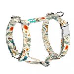 Pillangók és Vadvirágok - Kutyahám és Macskahám - Butterflies and Wild Flowers - april & june