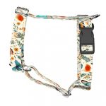 Pillangók és Vadvirágok - Kutyahám és Macskahám - Butterflies and Wild Flowers - april & june