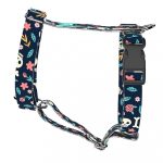 Koponya és Rózsa mintás - Kutyahám és Macskahám - Skull and Bones with Roses - april & june