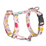 Nyári gyümölcsök - Kutyahám és Macskahám - Summer fruits - april & june