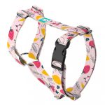 Nyári gyümölcsök - Kutyahám és Macskahám - Summer fruits - april & june