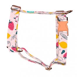 Summer fruits - Dog Harness or Cat Harness - april & june