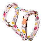 Nyári gyümölcsök - Kutyahám és Macskahám - Summer fruits - april & june