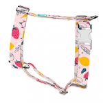 Nyári gyümölcsök - Kutyahám és Macskahám - Summer fruits - april & june