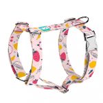 Nyári gyümölcsök - Kutyahám és Macskahám - Summer fruits - april & june