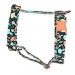 Elvarázsolt Gombák - Kutyahám és Macskahám - Fairy Mushroom - april & june