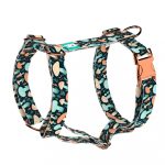 Elvarázsolt Gombák - Kutyahám és Macskahám - Fairy Mushroom - april & june