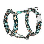 Elvarázsolt Gombák - Kutyahám és Macskahám - Fairy Mushroom - april & june