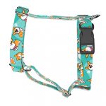 Pembroke Welsh Corgi, kék - Kutyahám és Macskahám - Pembroke Welsh Corgi, blue - april & june