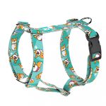 Pembroke Welsh Corgi, kék - Kutyahám és Macskahám - Pembroke Welsh Corgi, blue - april & june