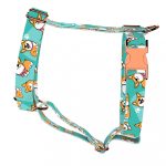 Pembroke Welsh Corgi, kék - Kutyahám és Macskahám - Pembroke Welsh Corgi, blue - april & june