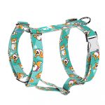 Pembroke Welsh Corgi, blue - Dog Harness or Cat Harness - april & june