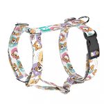 Pembroke Welsh Corgi - Kutyahám és Macskahám - Pembroke Welsh Corgi - april & june