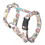 Pembroke Welsh Corgi - Kutyahám és Macskahám - Pembroke Welsh Corgi - april & june