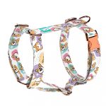 Pembroke Welsh Corgi - Kutyahám és Macskahám - Pembroke Welsh Corgi - april & june