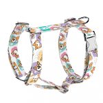 Pembroke Welsh Corgi - Kutyahám és Macskahám - Pembroke Welsh Corgi - april & june