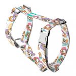 Pembroke Welsh Corgi - Kutyahám és Macskahám - Pembroke Welsh Corgi - april & june