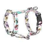 Pembroke Welsh Corgi, tricolor - Kutyahám és Macskahám - Pembroke Welsh Corgi, tricolor - april & june