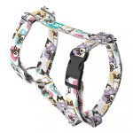 Pembroke Welsh Corgi, tricolor - Kutyahám és Macskahám - Pembroke Welsh Corgi, tricolor - april & june