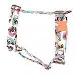 Pembroke Welsh Corgi, tricolor - Kutyahám és Macskahám - Pembroke Welsh Corgi, tricolor - april & june