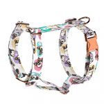 Pembroke Welsh Corgi, tricolor - Kutyahám és Macskahám - Pembroke Welsh Corgi, tricolor - april & june