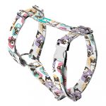 Pembroke Welsh Corgi, tricolor - Kutyahám és Macskahám - Pembroke Welsh Corgi, tricolor - april & june