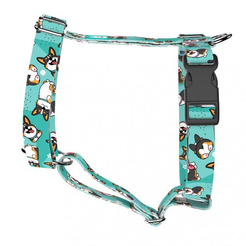 Pembroke Welsh Corgi, tricolor, blue - Dog Harness or Cat Harness - april & june