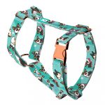 Pembroke Welsh Corgi, tricolor, kék  - Kutyahám és Macskahám - Pembroke Welsh Corgi, tricolor, blue - april & june