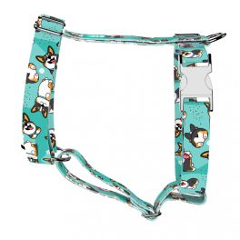   Pembroke Welsh Corgi, tricolor, blue - Dog Harness or Cat Harness - april & june