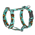 Tacskó, kék - Kutyahám és Macskahám -Dachshund, blue - april & june