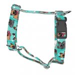 French Bulldog, blue - Dog Harness or Cat Harness - april & june