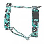 Boston Terrier, kék - Kutyahám és Macskahám - Boston Terrier, blue - april & june