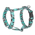 Boston Terrier, kék - Kutyahám és Macskahám - Boston Terrier, blue - april & june